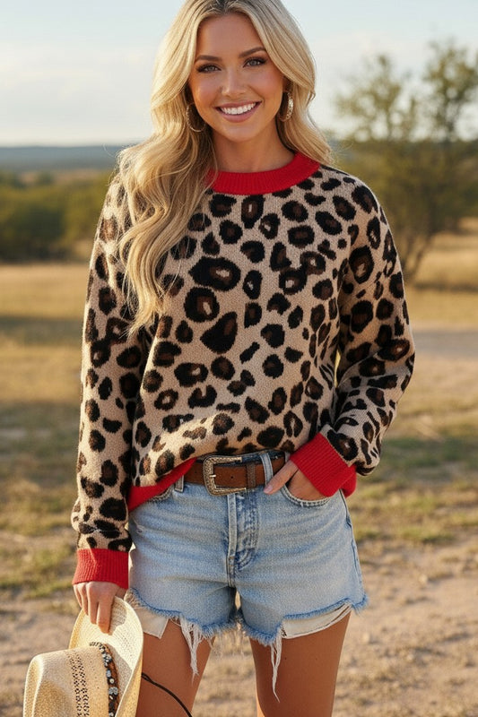 Leopard Style Sweater Top